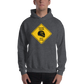 Racing Driver Sign Men's Hoodie